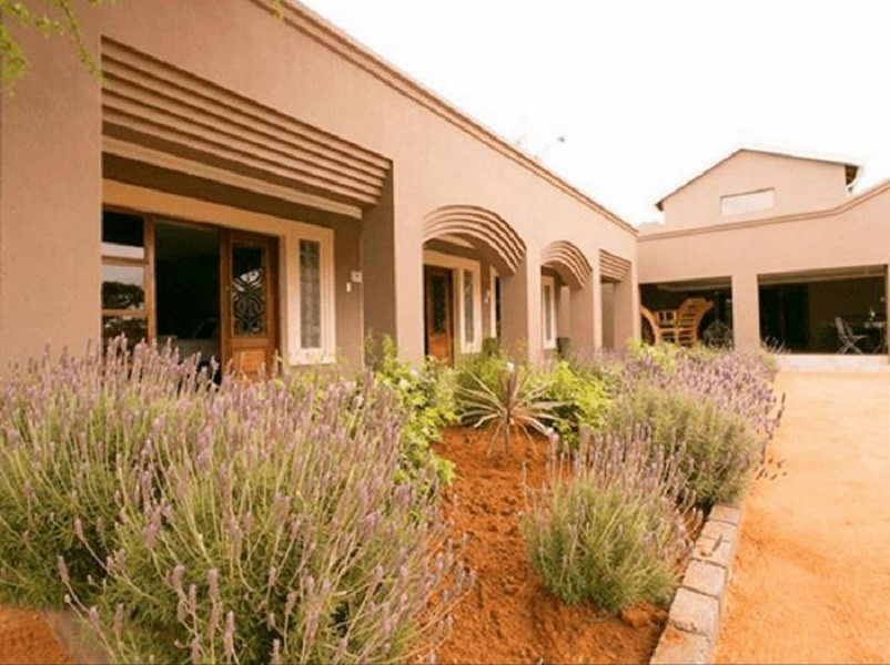 My Travelution - Travel Club - Ein Gedi Premier Lodge