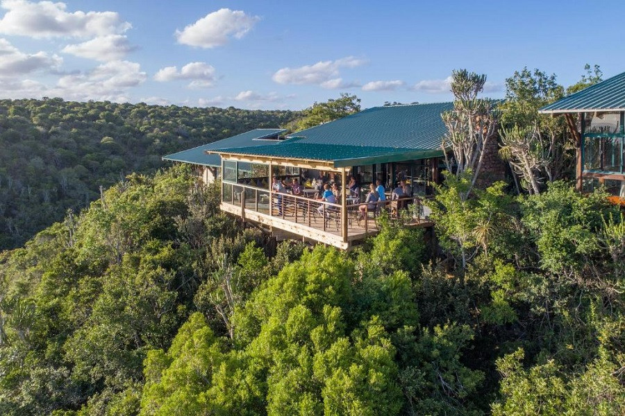 My Travelution - Travel Club - Kariega Private Game Reserve and Safari Lodge