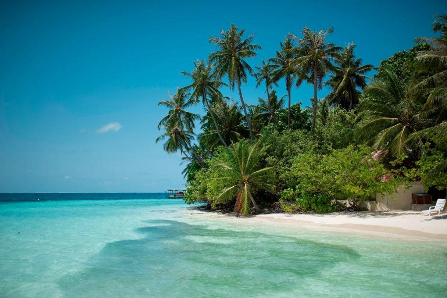 My Travelution - Travel Club - Biyadhoo Island Resort