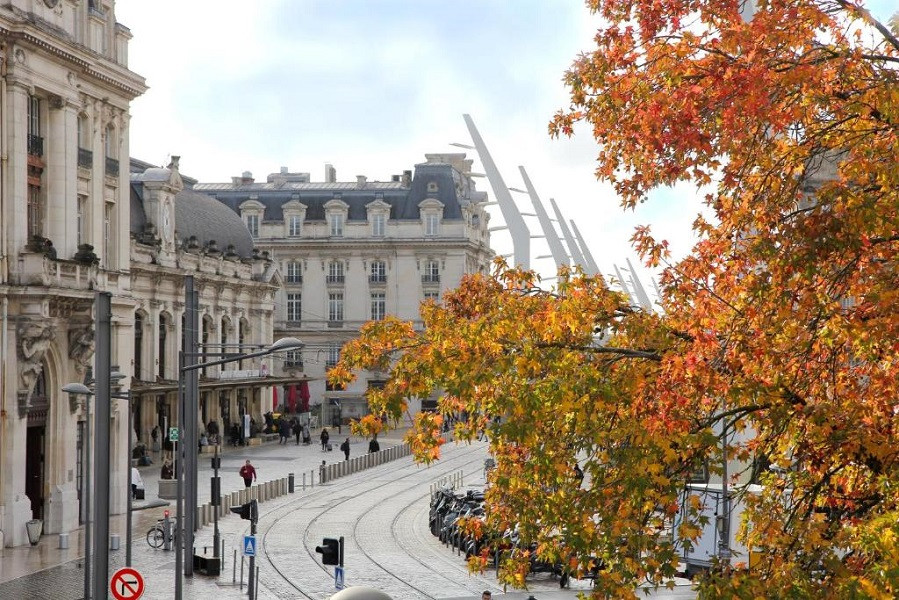 My Travelution - Travel Club - Best Western Plus Hôtel Gare Saint-Jean