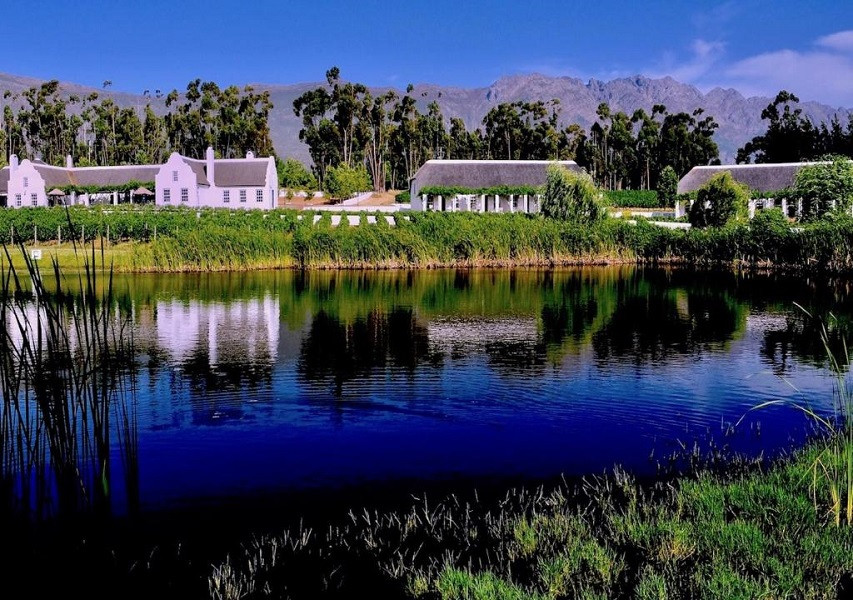 My Travelution - Travel Club - Rijk’s Wine Estate & Hotel