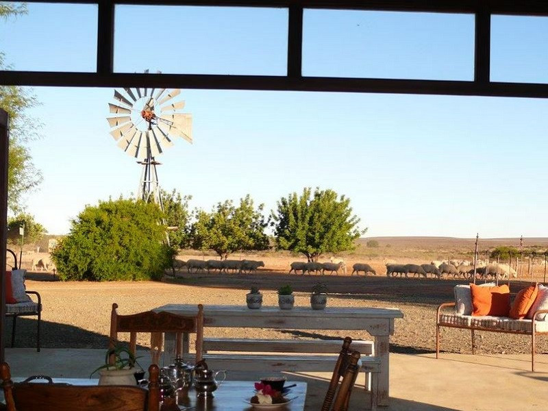 My Travelution - Travel Club - Papkuilsfontein Guest Farm
