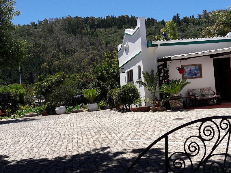 My Travelution - Travel Club - Forest View Guesthouse and B&B