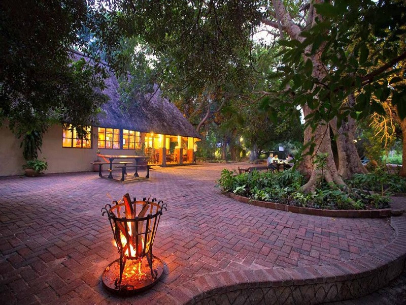 My Travelution - Travel Club - Island Safari Lodge
