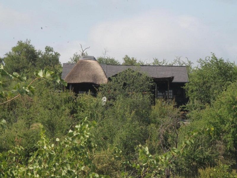 My Travelution - Travel Club - Leopard Rock Bush Lodge