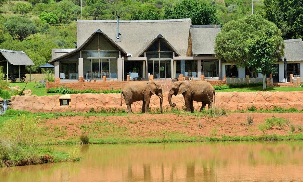 My Travelution - Travel Club - African Hills Safari Lodge & Spa