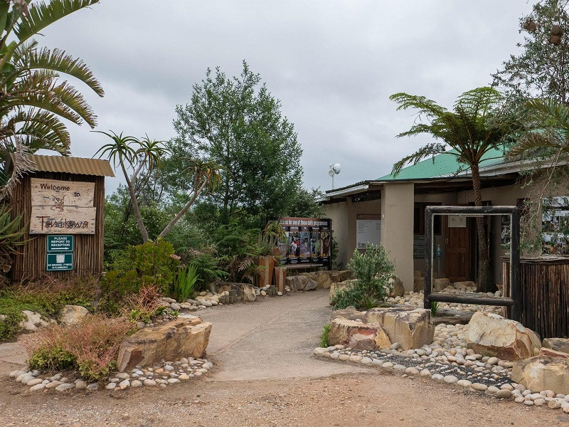 My Travelution - Travel Club - Tenikwa Wildlife Centre