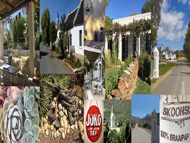 My Travelution - Travel Club - Yellowstone Cottages