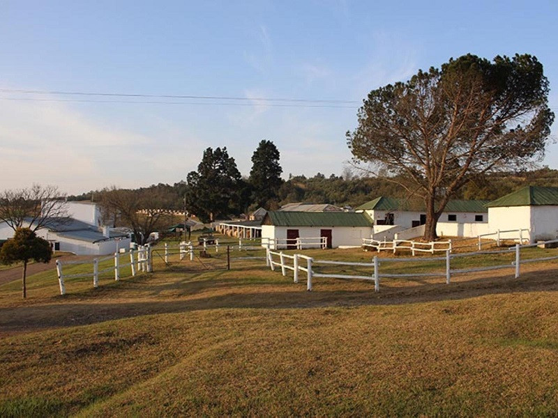 My Travelution - Travel Club - Sierra Ranch