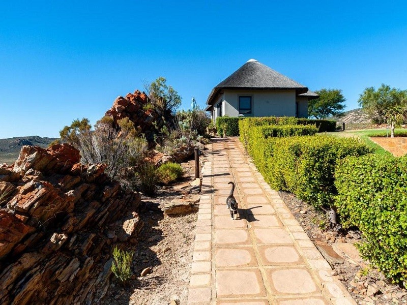 My Travelution - Travel Club - Rooilande Guest Farm Guest House