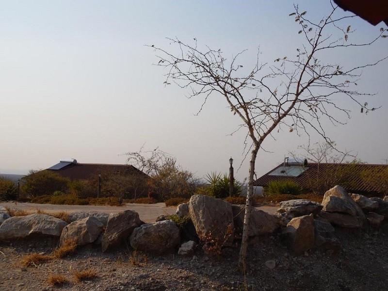 My Travelution - Travel Club - Aloegrove Safari Lodge