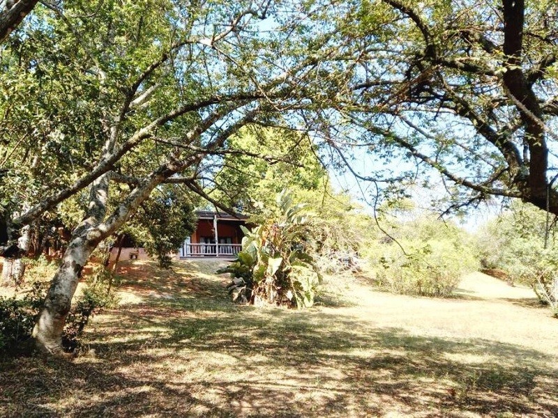 My Travelution - Travel Club - Bee-Eater Cottage, DaGama Dam