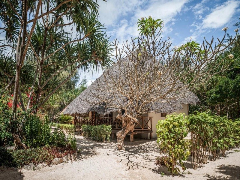My Travelution - Travel Club - Hakuna Majiwe Beach Lodge