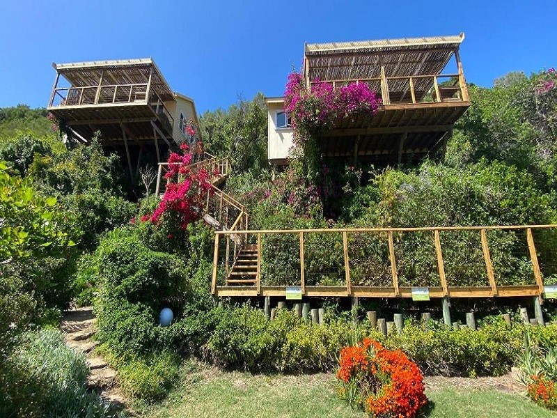 My Travelution - Travel Club - JustFor2