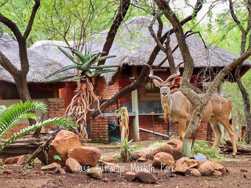 My Travelution - Travel Club - Casa Camacho