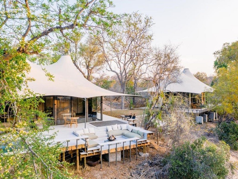 My Travelution - Travel Club - Thornybush -Saseka Tented Camp