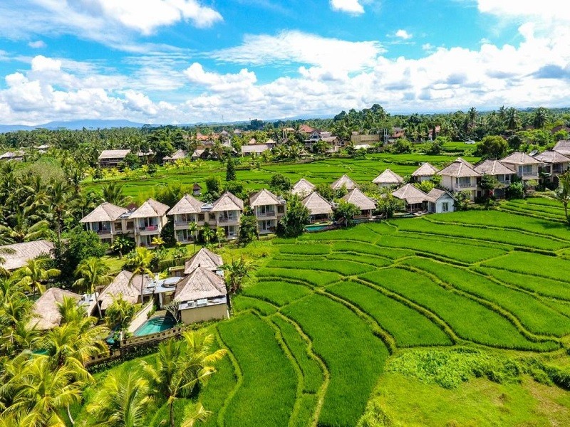 My Travelution - Travel Club - Atta Mesari Ubud