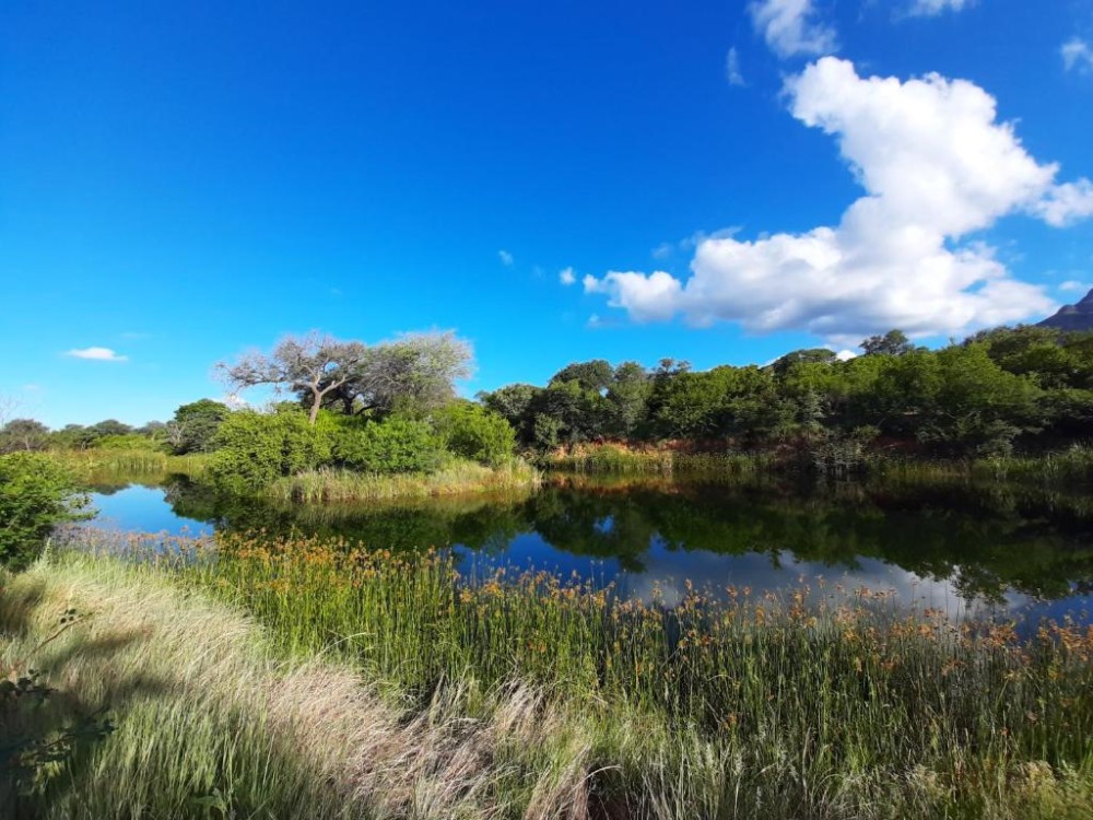 My Travelution - Travel Club - Hoedspruit Bushveld Retreat