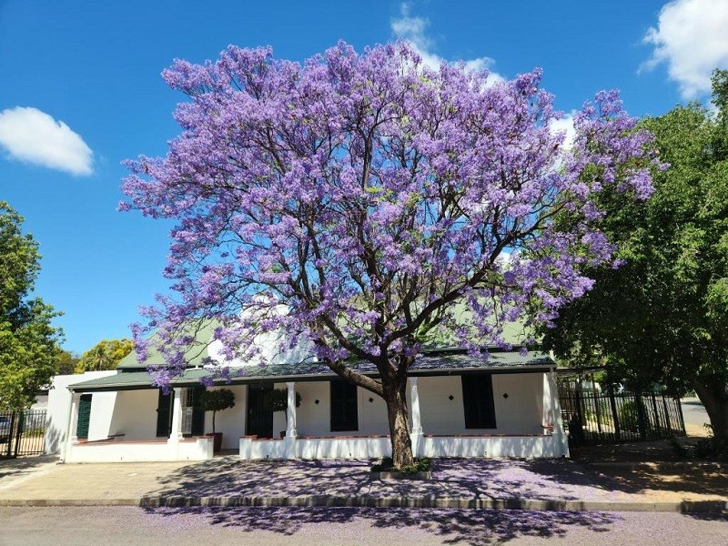 My Travelution - Travel Club - Die Dorpshuis Graaff Reinet