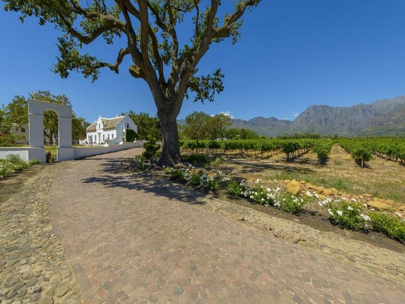 My Travelution - Travel Club - Adara Palmiet Valley Luxurious Boutique Farm Hotel