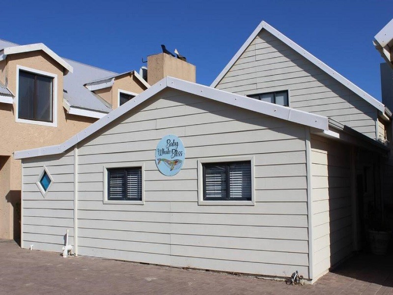 My Travelution - Travel Club - Baby Whale Bliss - Beachfront House
