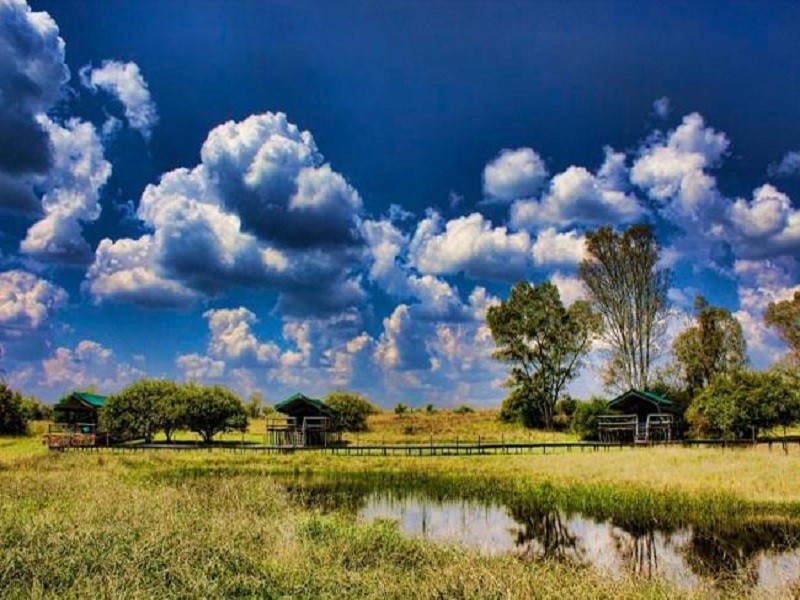 My Travelution - Travel Club - Savannah Game Lodge, Wedding Venue and River Retreat