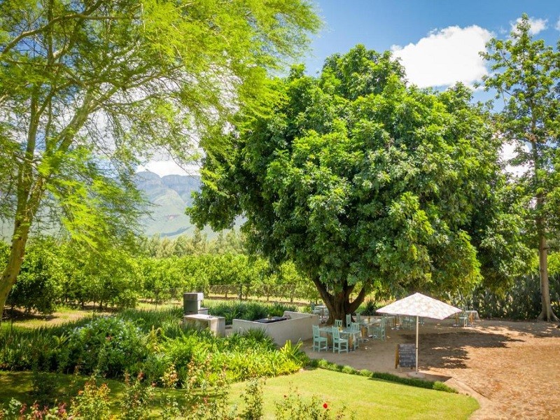 My Travelution - Travel Club - Francine’s Farmhouse & Venue