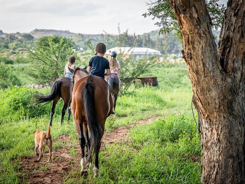 My Travelution - Travel Club - The Barn at Tembele