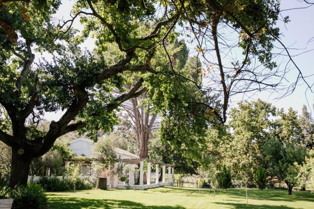 My Travelution - Travel Club - Montpellier De Tulbagh