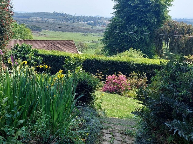 My Travelution - Travel Club - King's Hill Guest House