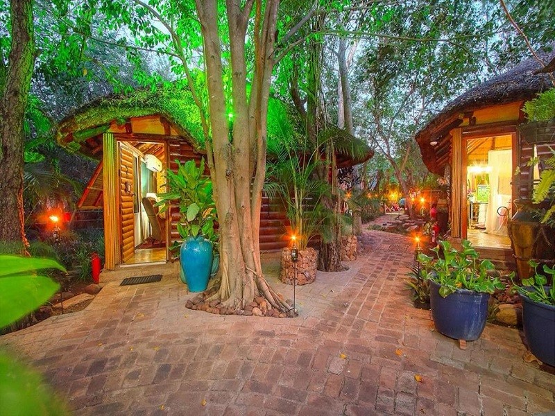 My Travelution - Travel Club - Wielewaal Bush Lodge