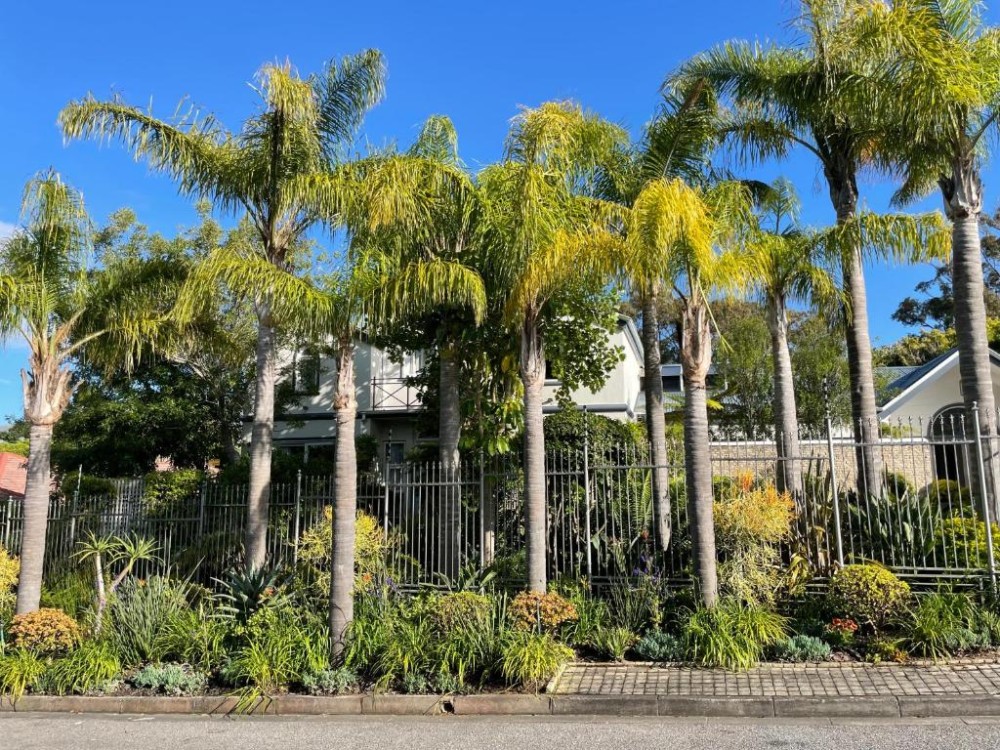 My Travelution - Travel Club - Constantiaberg Eco-Villa
