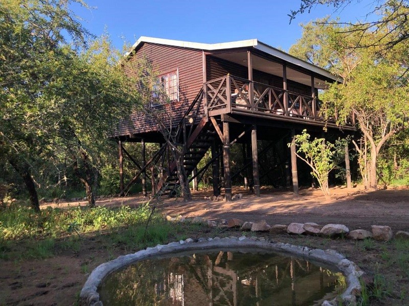 My Travelution - Travel Club - Luxury Treetop Lodge