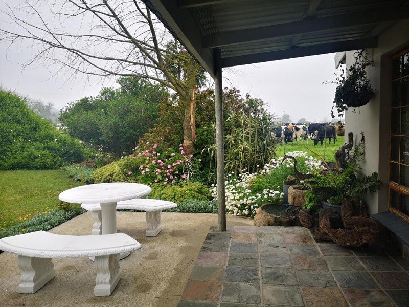 My Travelution - Travel Club - Tsitsikamma Gardens Cottages Self-catering Cottages