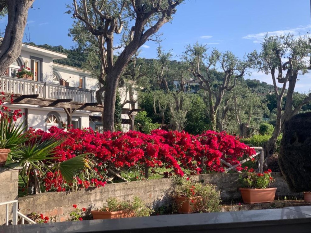 My Travelution - Travel Club - Villa Giovanna