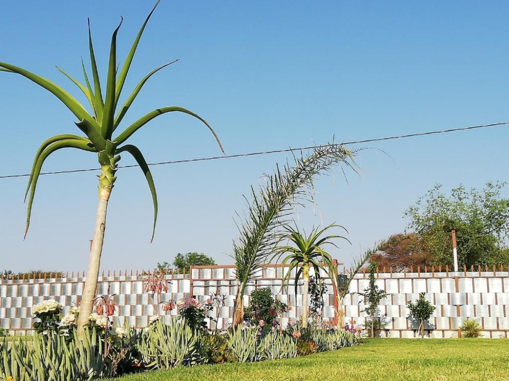 My Travelution - Travel Club - Masane Lodge