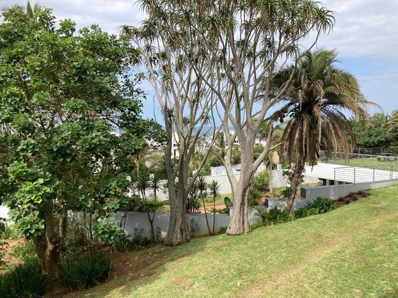 My Travelution - Travel Club - Cozy, 2 bedroom beachfront apartment