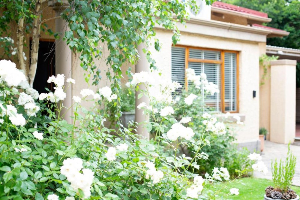 My Travelution - Travel Club - Crisp Guest Rooms