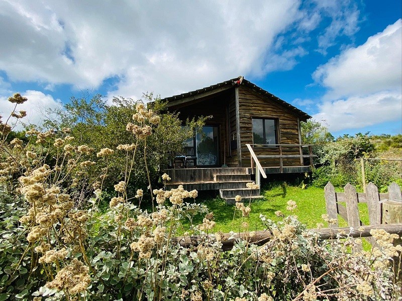 My Travelution - Travel Club - Fynbos Garden Cottage