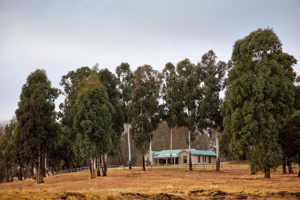 My Travelution - Travel Club - Luxury Farm Cottage in the Berg