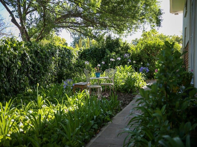 My Travelution - Travel Club - Ivy House - Super Spacious Spot- Somerset West