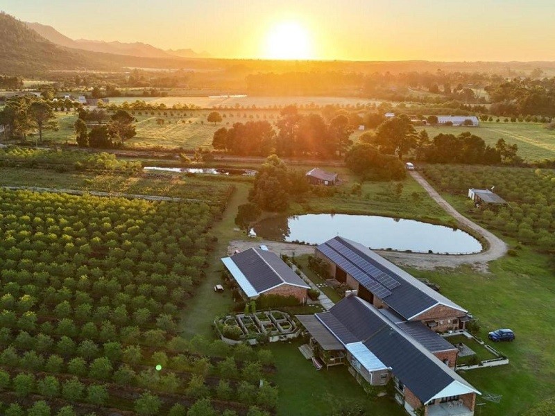 My Travelution - Travel Club - 20 Good Summers Farm Stay