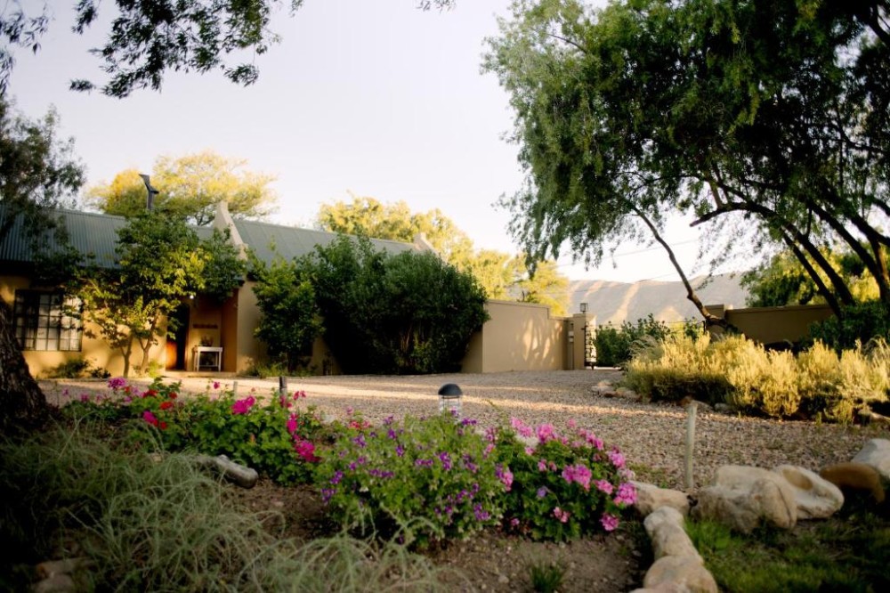 My Travelution - Travel Club - The Olive Thrush Cottage