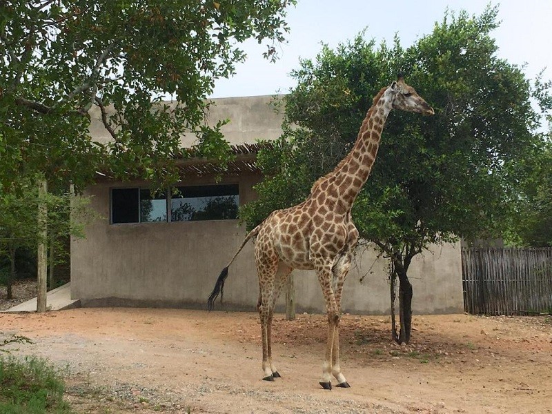 My Travelution - Travel Club - Nextdoor Kruger